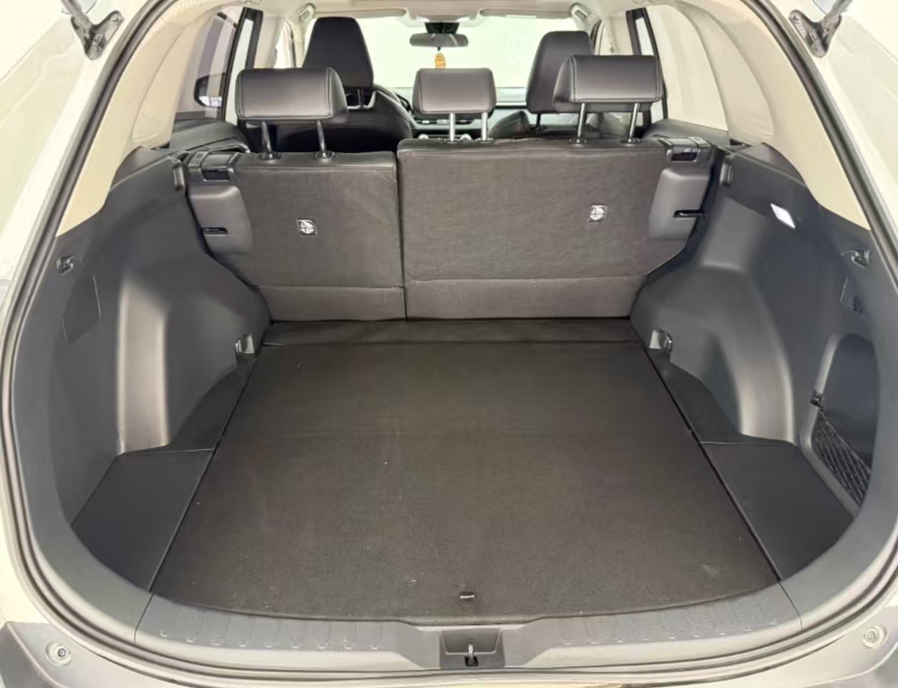 Wildlander 2023 2.0L 4WD Luxury PLUS Edition - Huishida Trading