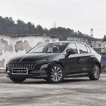 Red Flag E-QM5 2024 450km Travel Edition