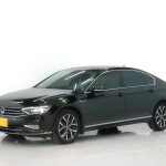 Volkswagen Magotan 2020 330TSI DSG Luxury Edition