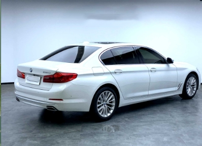 BMW 5 Series 2020 530Li Premium Luxury Package - Huishida Trading