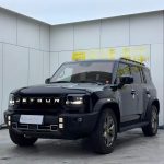 JETOUR 2023 2.0T 4WD Conquer PRO