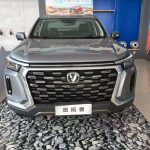 Stock of Changan pickup trucks