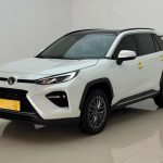 Wildlander 2023 2.0L 4WD Luxury PLUS Edition