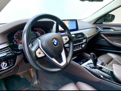 BMW 5 Series 2020 530Li Premium Luxury Package - Huishida Trading