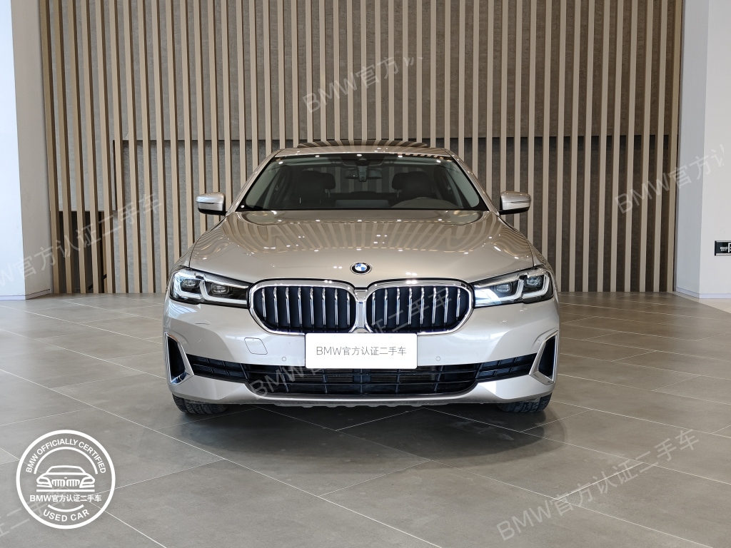 BMW 5 серии с длинной колесной базой 530Li