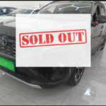 Toyota RAV4 Rongfang 2020 2.0L CVT 4WD