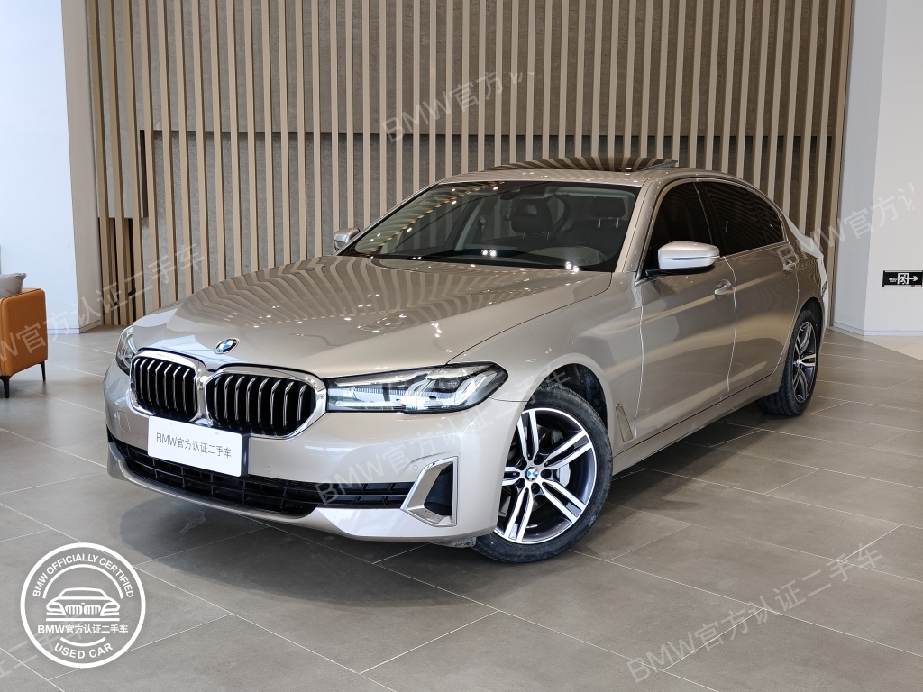 BMW 5 серии с длинной колесной базой 530Li - Huishida Trading