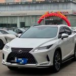 Lexus RX 2020 Facelift 300 FWD Elegance Edition