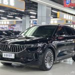 VOYAH FREE 2021 4WD расширенный диапазон Эксклюзивный пакет роскоши