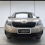 SKODA  Kamiq 2020 1.5L Автомат Стандарт