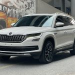 Skoda Kodiaq 2020 TSI330 5-местный 2WD Luxury Premium