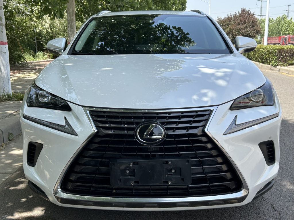 Lexus NX200 2020 200 All-Wheel Drive Frontier Edition - Huishida Trading