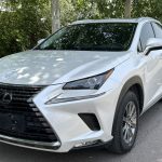Lexus NX200 2020 200 All-Wheel Drive Frontier Edition