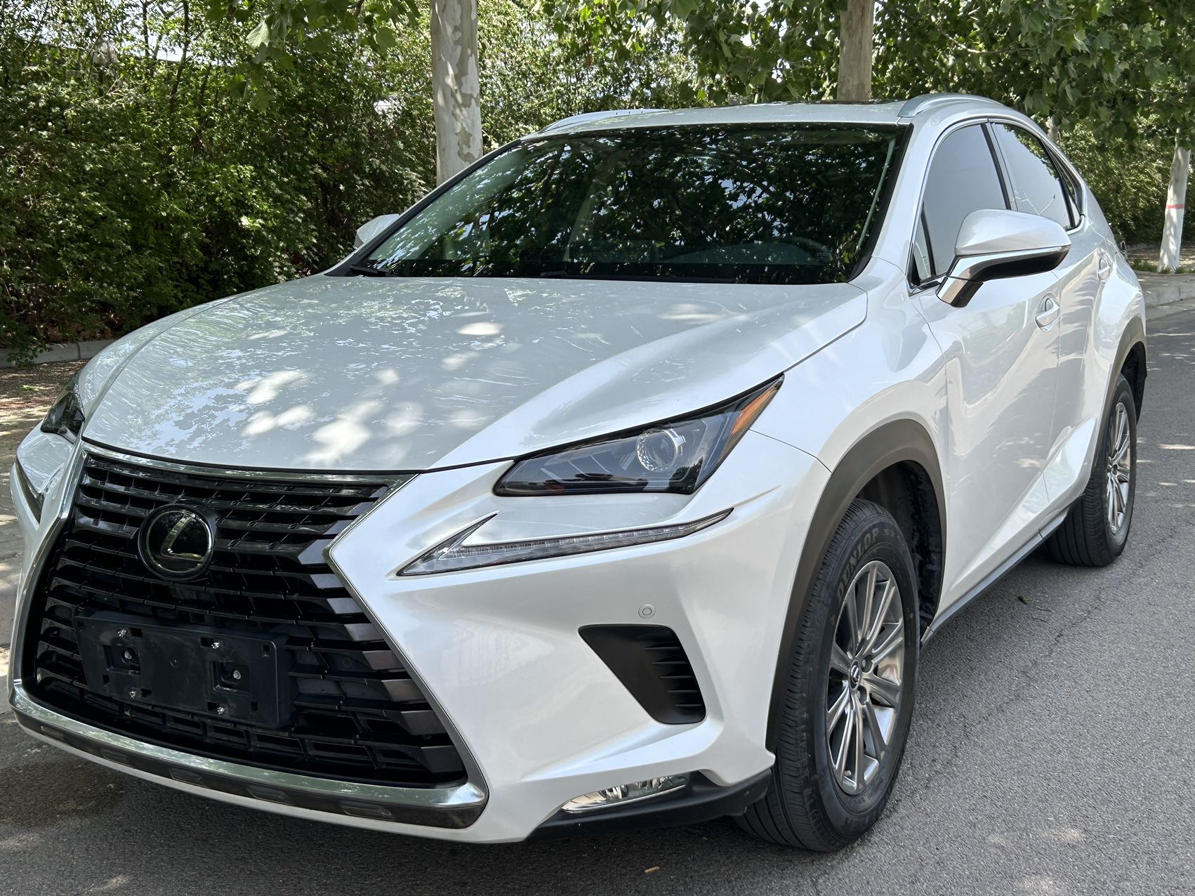 Lexus NX200 2020 200 All-Wheel Drive Frontier Edition