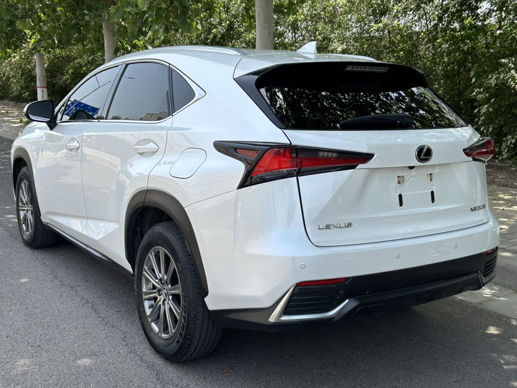 Lexus NX200 2020 200 All-Wheel Drive Frontier Edition - Huishida Trading