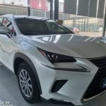 Lexus NX200 2020 200 със задвижване на всички колела Frontier Edition National V
