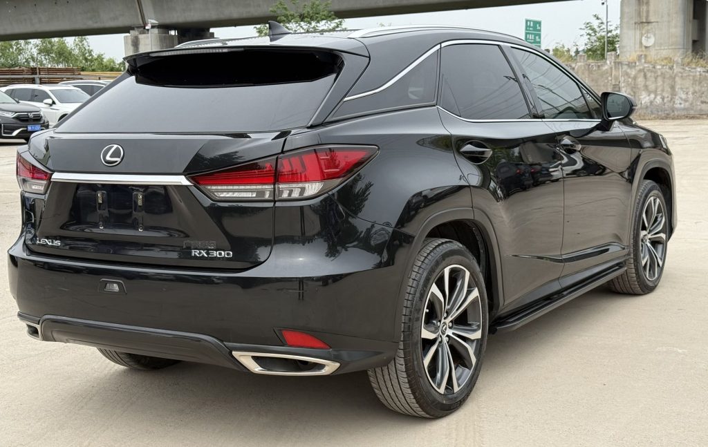 Lexus RX300 2021 RX300 4WD Special Edition - Huishida Trading