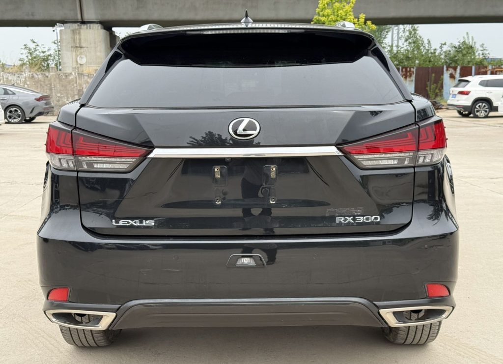 Lexus RX300 2021 RX300 4WD Special Edition - Huishida Trading