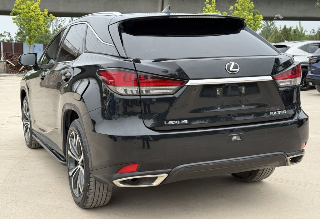 Lexus RX300 2021 RX300 4WD Special Edition - Huishida Trading