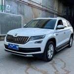 Skoda Kodiaq  2021 TSI330 5-местный 2WD Luxury Premium