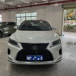 Lexus RX300 2020 Модифицированный 300 4WD Elegant Edition