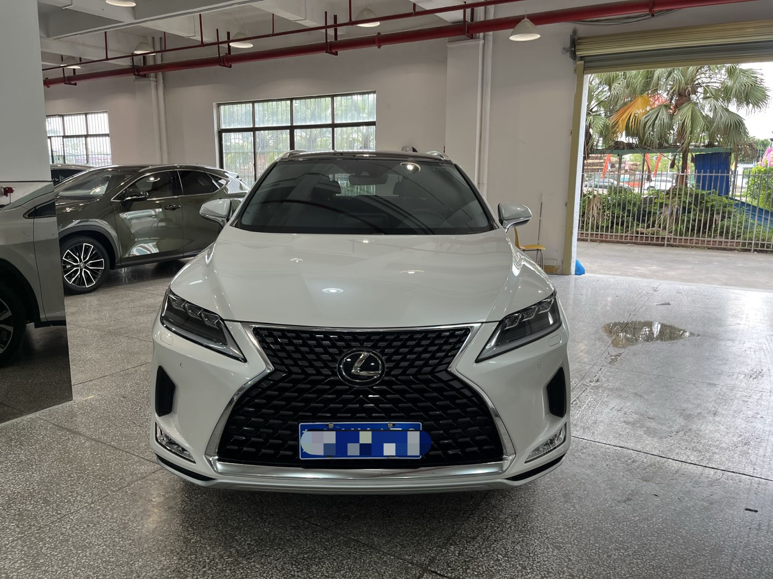 Lexus RX300 2020 Модифицированный 300 4WD Elegant Edition