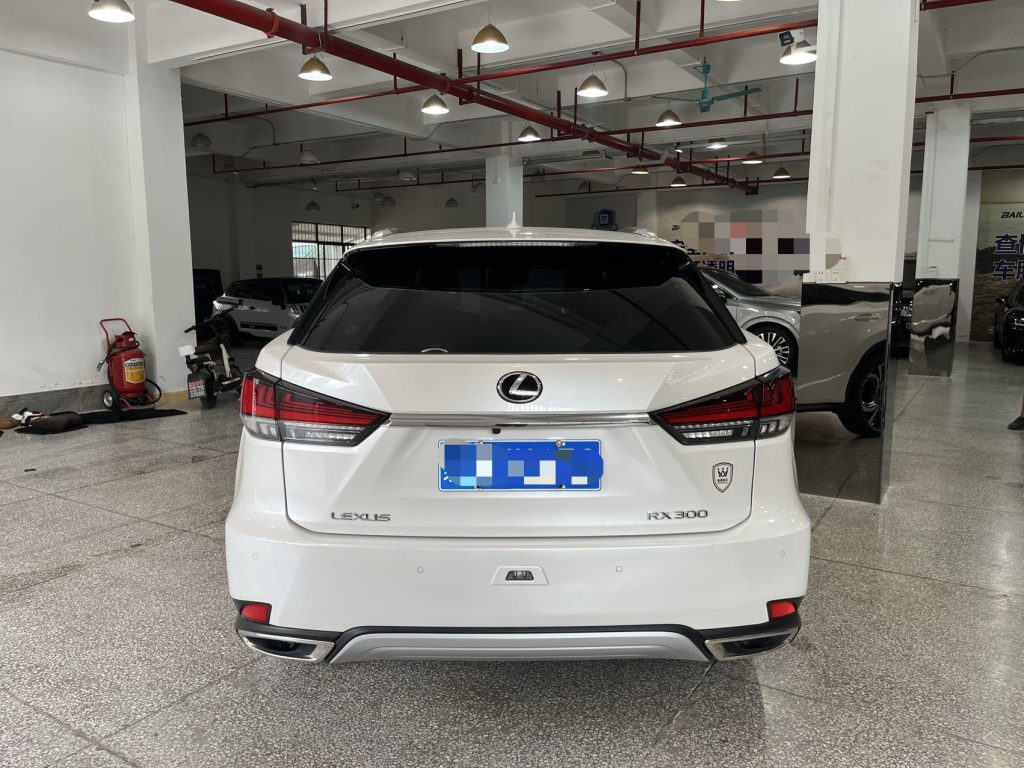 Lexus RX300 2020 Модифицированный 300 4WD Elegant Edition - Huishida Trading