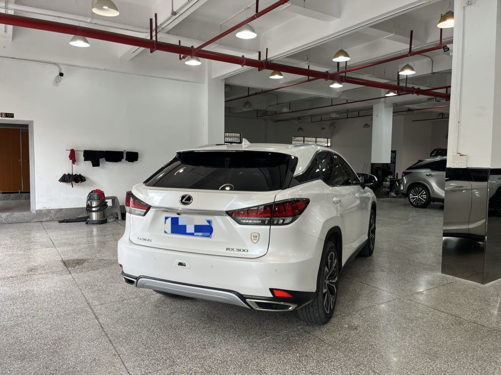 Lexus RX300 2020 Модифицированный 300 4WD Elegant Edition - Huishida Trading