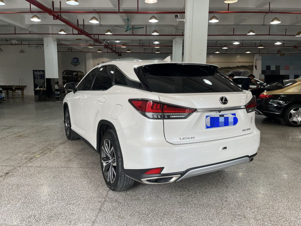 Lexus RX300 2020 Модифицированный 300 4WD Elegant Edition - Huishida Trading