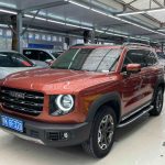 2021 HAVAL DARGO  4WD Китайская садовая собака