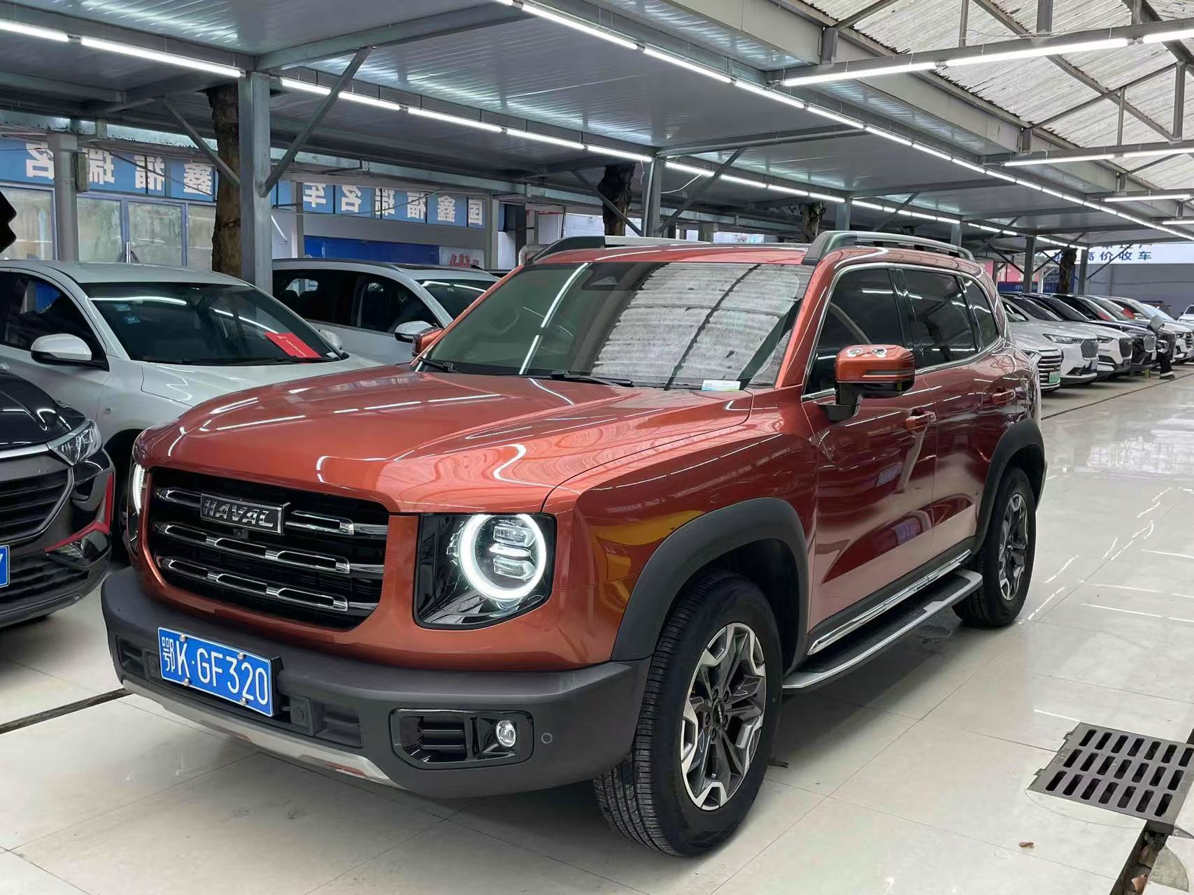 2021 HAVAL DARGO  4WD Китайская садовая собака