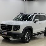 Haval DARGO 2021 Модифицированный 2.0T DCT 4WD Roaring Dog Edition
