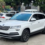SKODA  KAROQ 2021 TSI280 Technology Edition