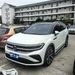 TALAGON 2021 380TSI 4WD R-Line Topland Edition