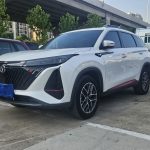 Changan CS75PLUS 2022 1.5T Auto Premium
