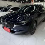 Mazda CX-30 2021 2.0L Automatic Joyride