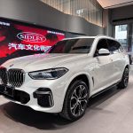 BMW  X5 2022 Модифицированный xDrive 40Li Premium M Sport Package
