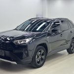 Toyota RAV4 Rongrong 2022 Twin Engine 2.5L CVT 4WD Elite PLUS Edition