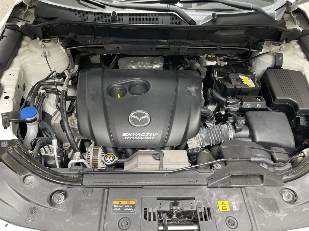 2020 2.0L Auto 2WD Smart Premium - Huishida Trading