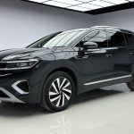 TALAGON 2021 380TSI 4WD Luxury Goodland Pro