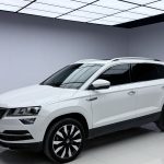 SKODA Karoq 2020 TSI280 Intelligent Deluxe
