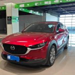 Mazda cx-30 2020 2.0L Auto Elegant