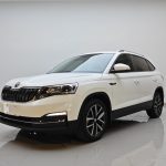 Skoda Kamiq 2020 1.5L Auto Comfort