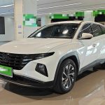 Hyundai Tucson 2021 Tucson L 1.5T GLX Elite Edition National