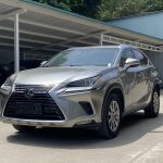 Lexus NX 2020 200 All-Wheel Drive Frontier Edition National