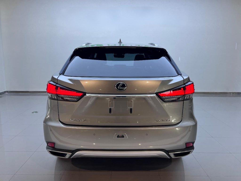 Lexus RX 2020 Modified 300 4WD Elegant Edition - Huishida Trading