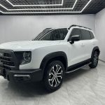 Haval DARGO 2022 1.5T DCT 2WD Horse-dog Chasing Edition