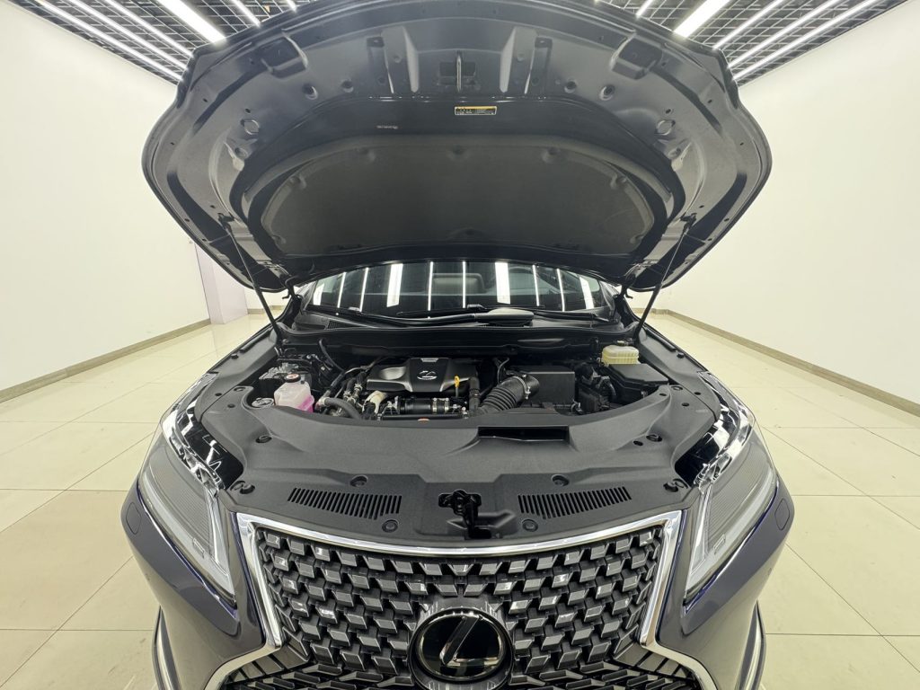 Lexus 2020 RX300 Modified 4WD Elegant - Huishida Trading