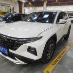 2021 Tucson-L 1.5T GLX Elite Edition