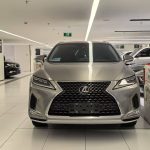 Lexus RX300 2020 Modified 300 4WD Elegant Edition